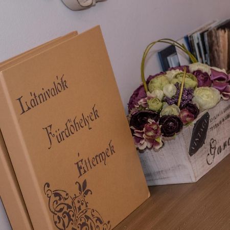 Belvárosi Vintage Apartman a sétálóutcán Miskolc Extérieur photo